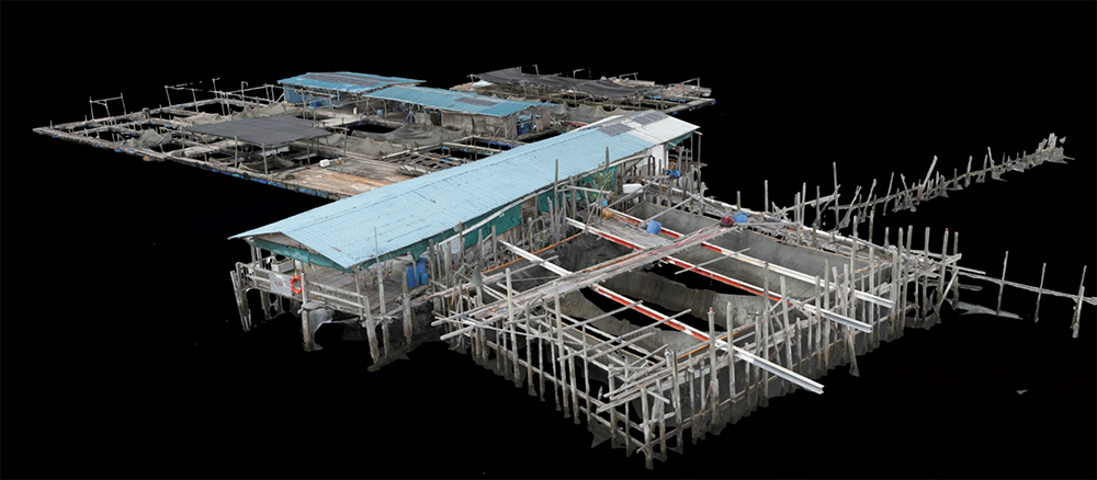 3D Model Perspective